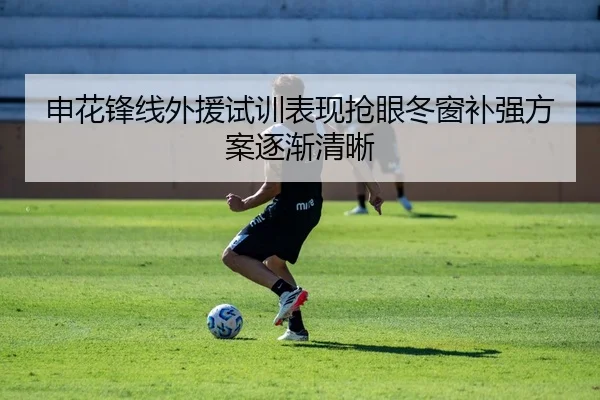 申花锋线外援试训表现抢眼冬窗补强方案逐渐清晰